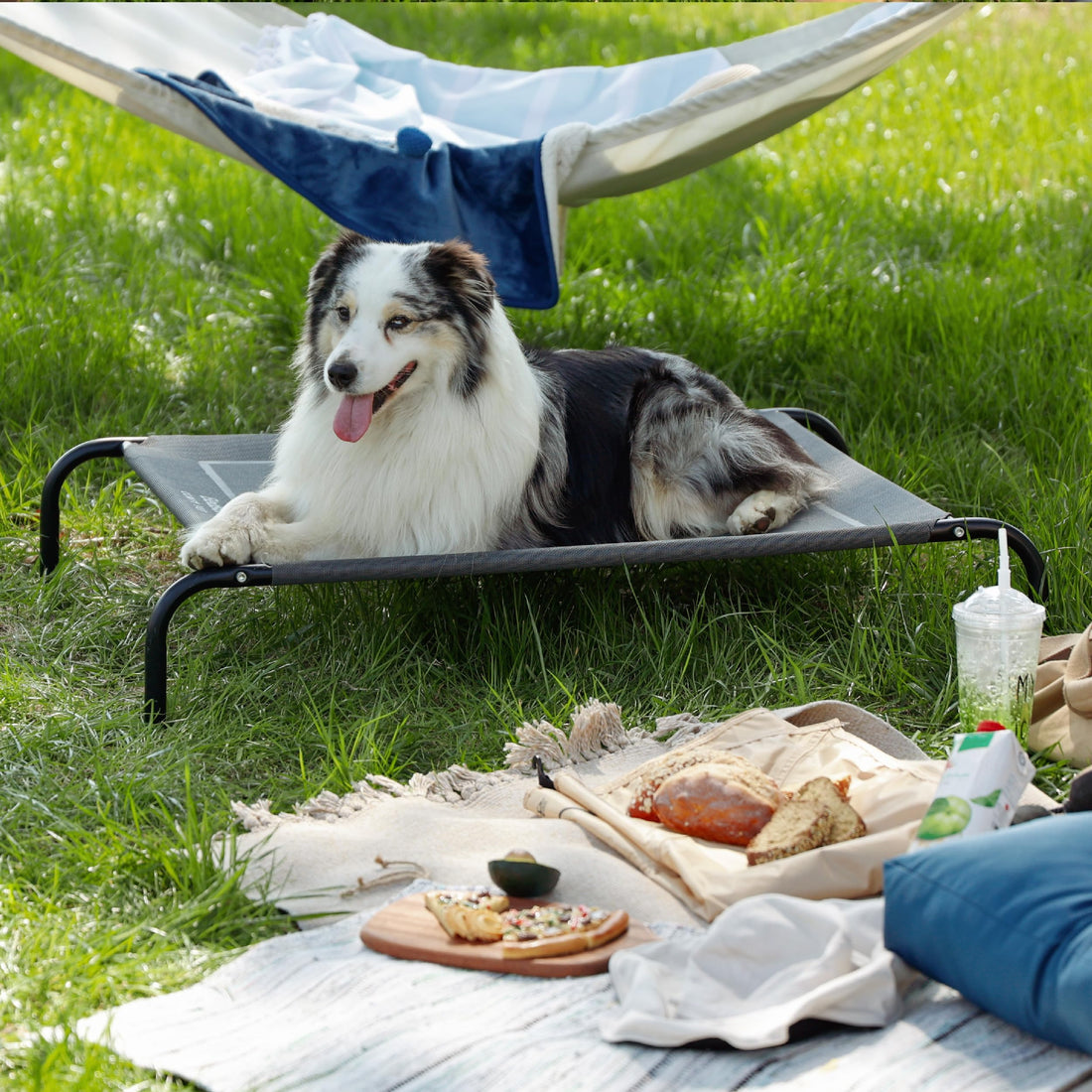 Bedsure Outdoor Elevated Dog Bed Large Sized Dog, Portable Indoor & Outdoor Cooling Raised Cot Pet Hammock Bed with Skid-Resistant Feet, Frame with Breathable Mesh, Grey, 49 inches
