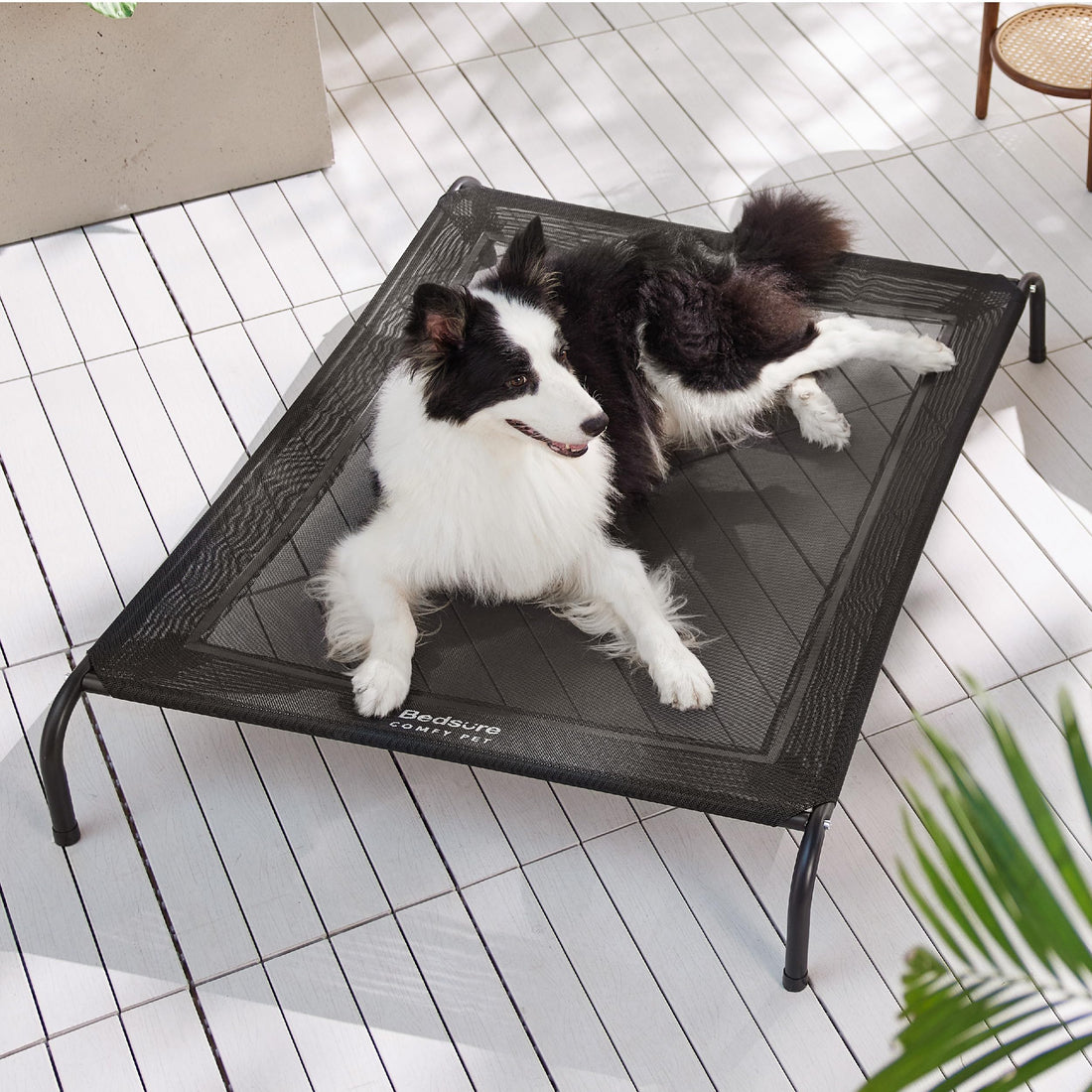 Bedsure Outdoor Elevated Dog Bed Large Sized Dog, Portable Indoor & Outdoor Cooling Raised Cot Pet Hammock Bed with Skid-Resistant Feet, Frame with Breathable Mesh, Grey, 49 inches