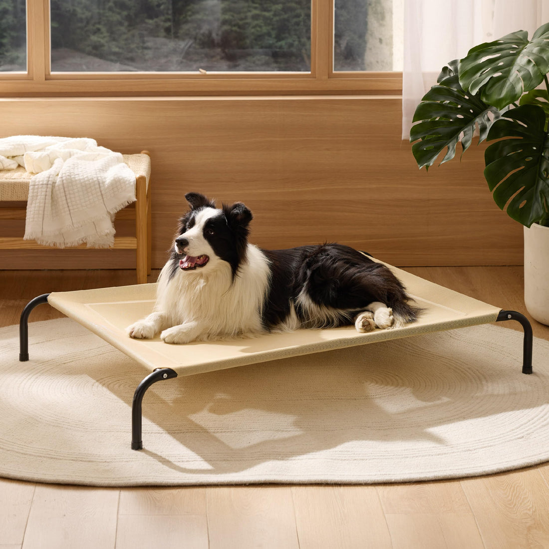 Bedsure Outdoor Elevated Dog Bed Large Sized Dog, Portable Indoor & Outdoor Cooling Raised Cot Pet Hammock Bed with Skid-Resistant Feet, Frame with Breathable Mesh, Grey, 49 inches