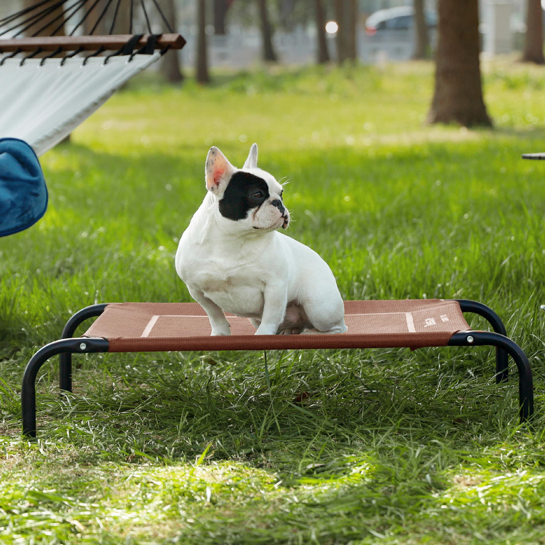 Bedsure Outdoor Elevated Dog Bed Large Sized Dog, Portable Indoor & Outdoor Cooling Raised Cot Pet Hammock Bed with Skid-Resistant Feet, Frame with Breathable Mesh, Grey, 49 inches
