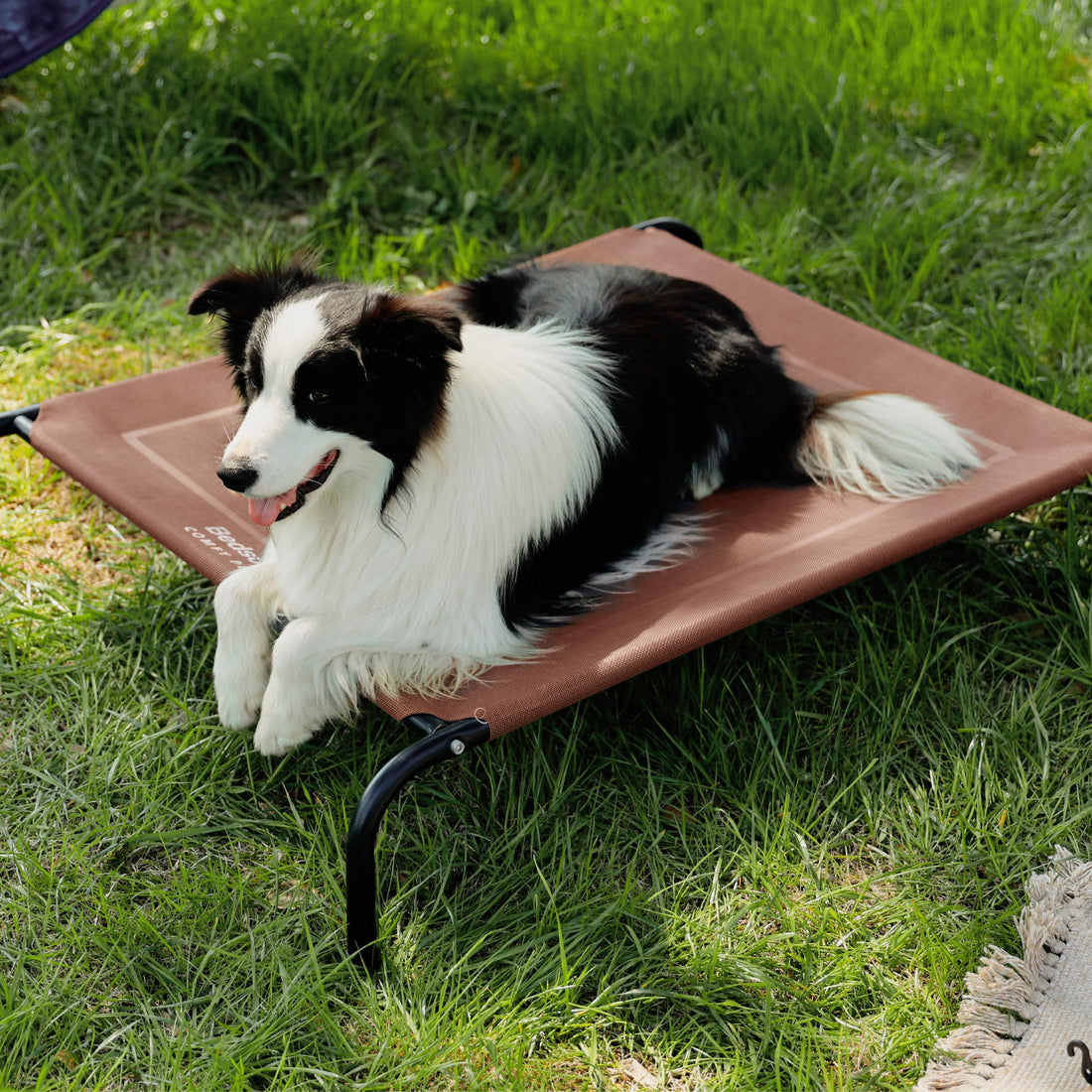 Bedsure Outdoor Elevated Dog Bed Large Sized Dog, Portable Indoor & Outdoor Cooling Raised Cot Pet Hammock Bed with Skid-Resistant Feet, Frame with Breathable Mesh, Grey, 49 inches