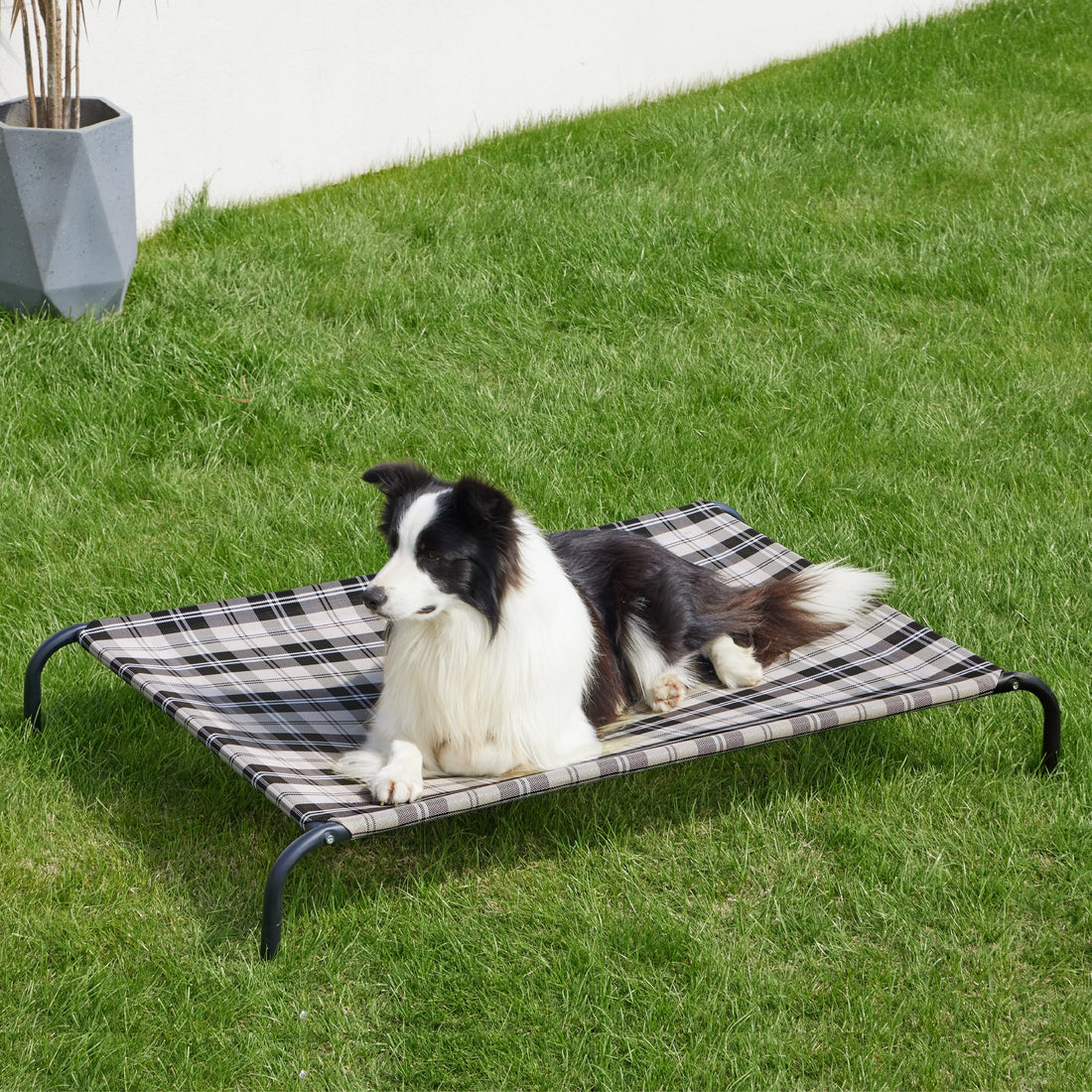 Bedsure Outdoor Elevated Dog Bed Large Sized Dog, Portable Indoor & Outdoor Cooling Raised Cot Pet Hammock Bed with Skid-Resistant Feet, Frame with Breathable Mesh, Grey, 49 inches