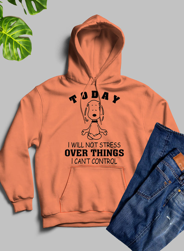 HOODIE--"Today I Will Not Stress Over Things I Can't Control"