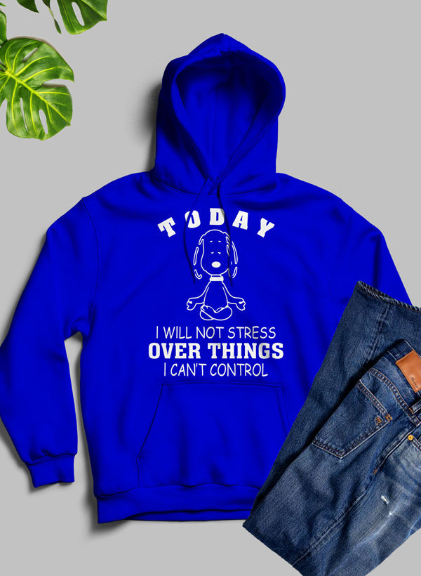 HOODIE--"Today I Will Not Stress Over Things I Can't Control"