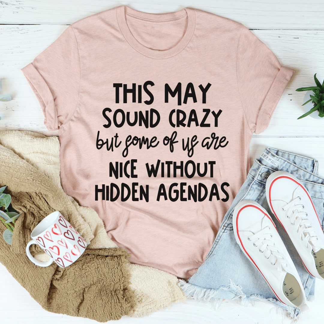 T-shirt--"This May Sound Crazy but some of us are NICE without hidden agendas